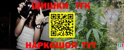 МДПВ Гатчина